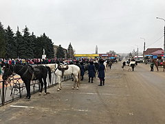 В Волгоградской области около 60 всадников отправились в трехдне