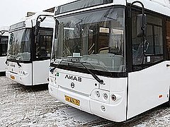 В Волгограде запустили еще три новых автобусных маршрута