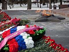 День защитника Отечества в Волгограде отметят возложением цветов