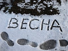 Синоптики рассказали о погоде в Волгограде на неделю