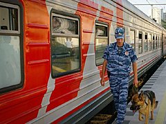 Пассажиров электрички на севере Волгограда эвакуировали из-за по