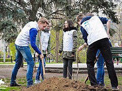 В Волгограде «Волонтеры Победы» высадили «Аллею Героев» в сквере
