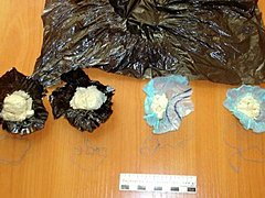 Под Волгоградом задержаны перевозчики наркотических «солей»
