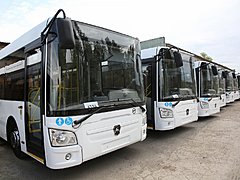 В Волгоград поступило более двух десятков новых автобусов марки