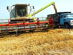 В Волгоградской области аграрии собрали свыше 2,6 млн т зерновых
