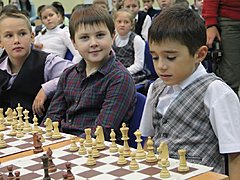 В Минобрнауки не считают, что шахматы в школе должны быть платны