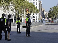 Полиция Каталонии установила личность главного подозреваемого в