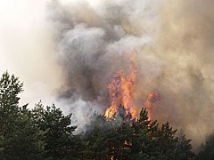 В Волгоградской области из-за сильного степного пожара перекрыли