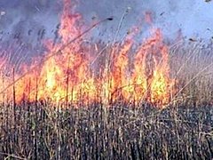 В связи с угрозами возникновения пожаров в Волгоградской области