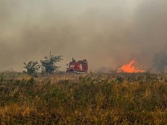 В Волгоградской области сохраняется пожароопасная обстановка