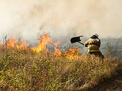 МЧС по Волгоградской области напомнило о соблюдении правил пожар