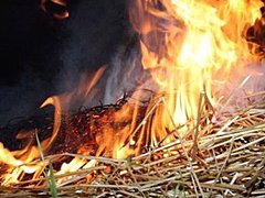 В Волгоградской области из-за детской шалости дважды горело сено