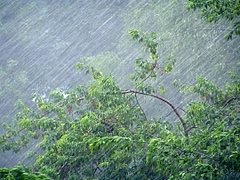 На выходных на Волгоградскую область обрушатся дожди