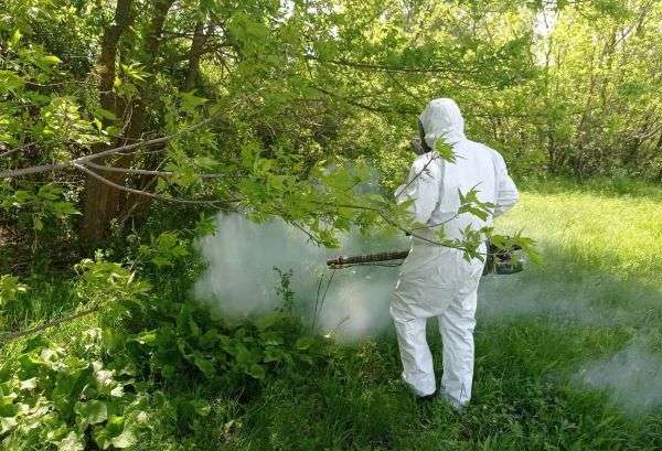 В  Волгоградской области обрабатывают от комаров прибрежные зоны водоемов