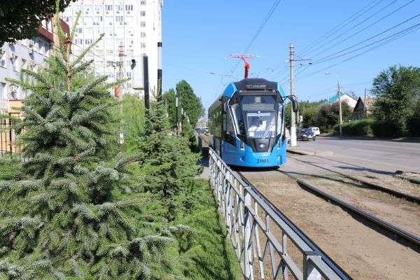 Новые трамваи модели «Львенок» за месяц  перевезли  в Волгограде  248  тысяч пассажиров